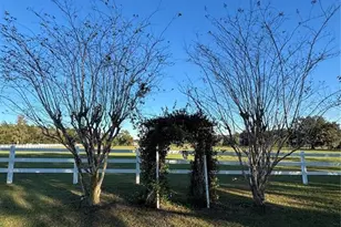 17725 Powerline Rd, Dade City, FL 33523 - Photo 7