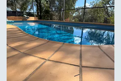 17725 Powerline Road, Dade City, FL 33523 - Photo 13