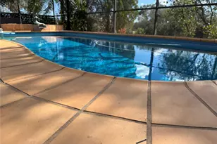 17725 Powerline Rd, Dade City, FL 33523 - Photo 13