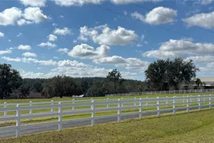 17725 Powerline Rd, Dade City, FL 33523 - Photo 31