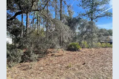 11475 N Kenney Loop, Dunnellon, FL 34433 - Photo 3