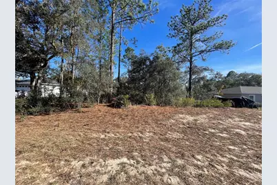 11475 N Kenney Loop, Dunnellon, FL 34433 - Photo 5