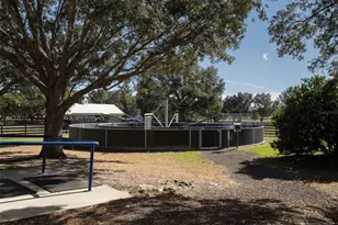 9710 NW 160th Ave, Morriston, FL 32668 - Photo 9