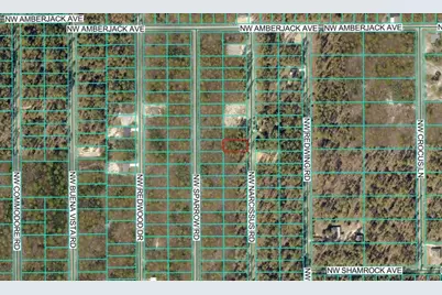 Tbd NW Narcissus Road, Dunnellon, FL 34431 - Photo 3
