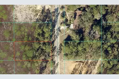 Tbd NW Narcissus Road, Dunnellon, FL 34431 - Photo 1