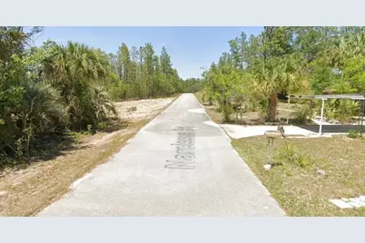 Tbd NW Narcissus Road, Dunnellon, FL 34431 - Photo 5