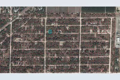 Tbd NE 68th Place, Bronson, FL 32621 - Photo 7