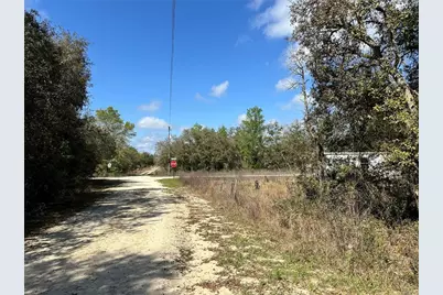 Tbd NE 68th Place, Bronson, FL 32621 - Photo 3