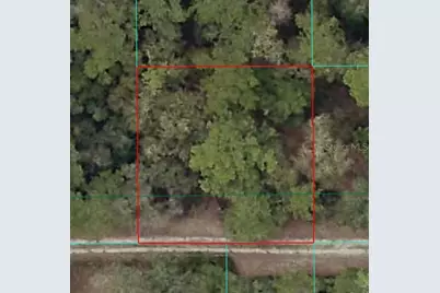 00 NE 166th Street, Fort Mc Coy, FL 32134 - Photo 1