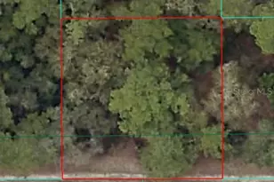 00 NE 166th St, Fort Mc Coy, FL 32134 - Photo 1