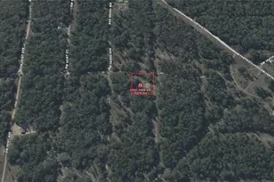 Tbd SW 152nd Terrace, Ocala, FL 34481 - Photo 1