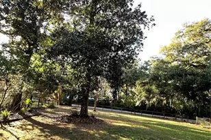 13565 NE 38th Ave, Anthony, FL 32617 - Photo 39