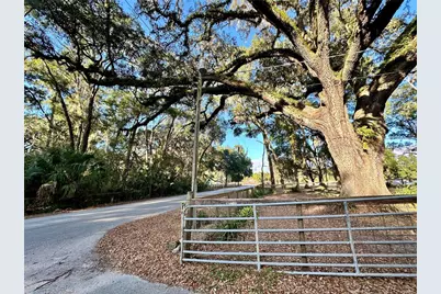 13565 NE 38th Avenue, Anthony, FL 32617 - Photo 33