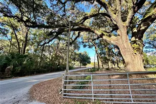 13565 NE 38th Ave, Anthony, FL 32617 - Photo 33