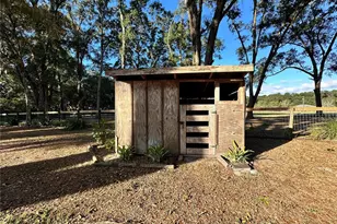 13565 NE 38th Ave, Anthony, FL 32617 - Photo 25