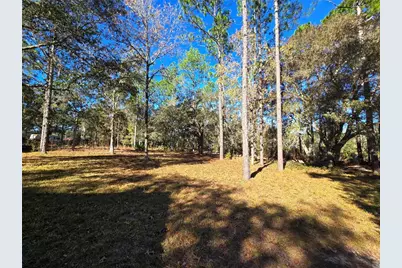 7970 NE 110 Avenue, Bronson, FL 32621 - Photo 23