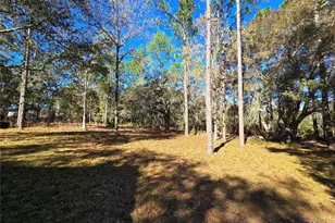 7970 NE 110th Ave, Bronson, FL 32621 - Photo 23