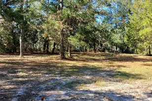 7050 S Sonata Ave, Homosassa, FL 34446 - Photo 13