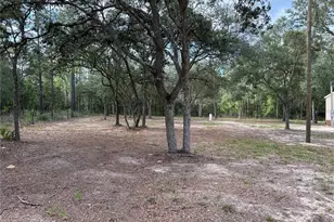 13751 NE 5 St, Williston, FL 32696 - Photo 17