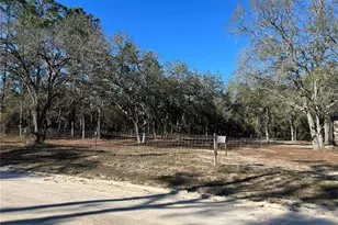 13751 NE 5 St, Williston, FL 32696 - Photo 7