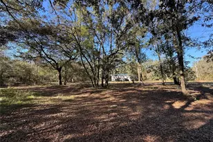 132 Pond Side Trail, Hawthorne, FL 32640 - Photo 7