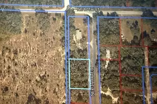 0 NE 137th Terrace, Williston, FL 32696 - Photo 1