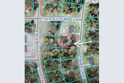 Fisher Crse, Ocklawaha, FL 32179 - Photo 3