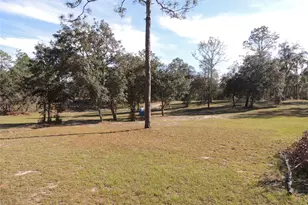 14671 SE 5th Pl, Williston, FL 32696 - Photo 5