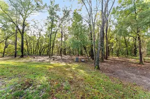 1520 Redding, Hernando, FL 34442 - Photo 79