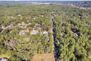 1520 Redding, Hernando, FL 34442 - Photo 71