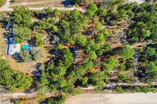 4638 N Ellen Point, Crystal River, FL 34428 - Photo 43