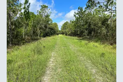 Tbd SW 93rd Street, Dunnellon, FL 34432 - Photo 3