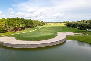 8741 SW 61st Loop, Ocala, FL 34481 - Photo 59