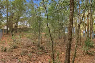 19120 SW 49th Pl, Dunnellon, FL 34432 - Photo 41