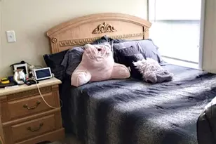 3249 S Calais Terrace, Homosassa, FL 34448 - Photo 11