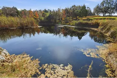 8792 S Steed Terrace, Floral City, FL 34436 - Photo 27
