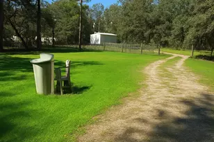 14640 NE 149th Ln, Fort Mc Coy, FL 32134 - Photo 3