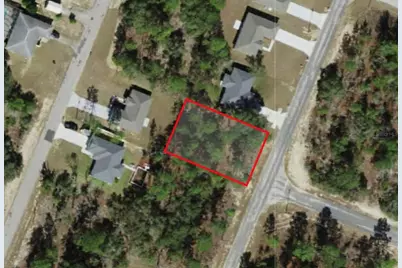 3065 W Sharpes Drive, Citrus Springs, FL 34433 - Photo 1