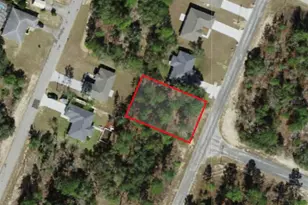 3065 W Sharpes Dr, Citrus Springs, FL 34433 - Photo 1