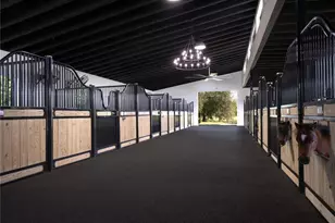 2875 NW 150th Ave, Ocala, FL 34482 - Photo 7