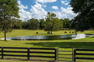 2875 NW 150th Ave, Ocala, FL 34482 - Photo 5