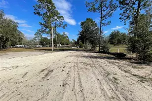 7690 SE 193rd Ave, Morriston, FL 32668 - Photo 55