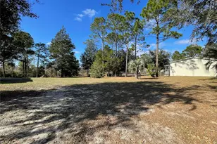 7690 SE 193rd Ave, Morriston, FL 32668 - Photo 45