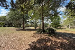 7690 SE 193rd Ave, Morriston, FL 32668 - Photo 61