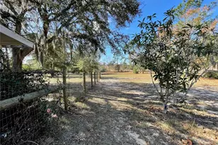 7690 SE 193rd Ave, Morriston, FL 32668 - Photo 51