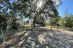 7690 SE 193rd Ave, Morriston, FL 32668 - Photo 45