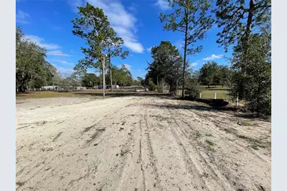 7690 SE 193rd Avenue, Morriston, FL 32668 - Photo 61
