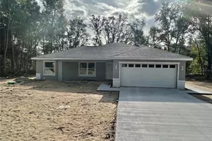 64 Guava Pass, Ocklawaha, FL 32179 - Photo 1