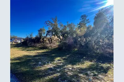 0 37 Circle, Ocala, FL 34473 - Photo 3