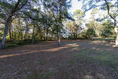 19931 SW 93rd Lane Road, Dunnellon, FL 34432 - Photo 41